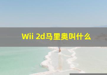 Wii 2d马里奥叫什么